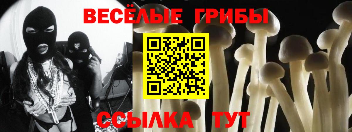 Галлюциногенные грибы мицелий  Вход с VPN  Ачхой-Мартан  Псилоцибиновые грибы Cubensis 