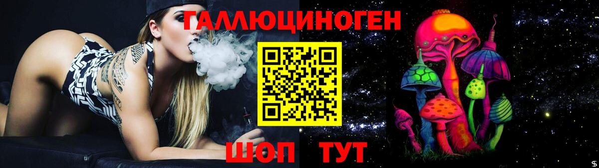 Галлюциногенные грибы Psilocybe Ачхой-Мартан