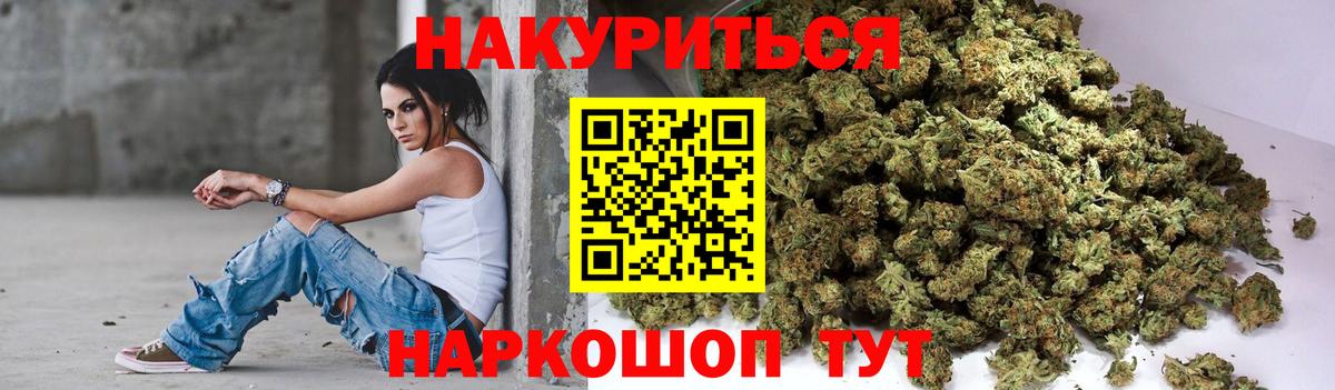 Конопля сатива Ачхой-Мартан